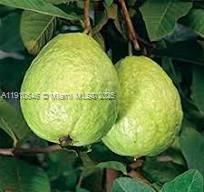 See details / sq. ft. $ 2025-11-08 0 Photo