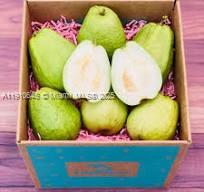 See details / sq. ft. $ 2025-11-08 0 Photo