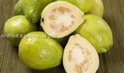 See details / sq. ft. $ 2025-11-08 0 Photo