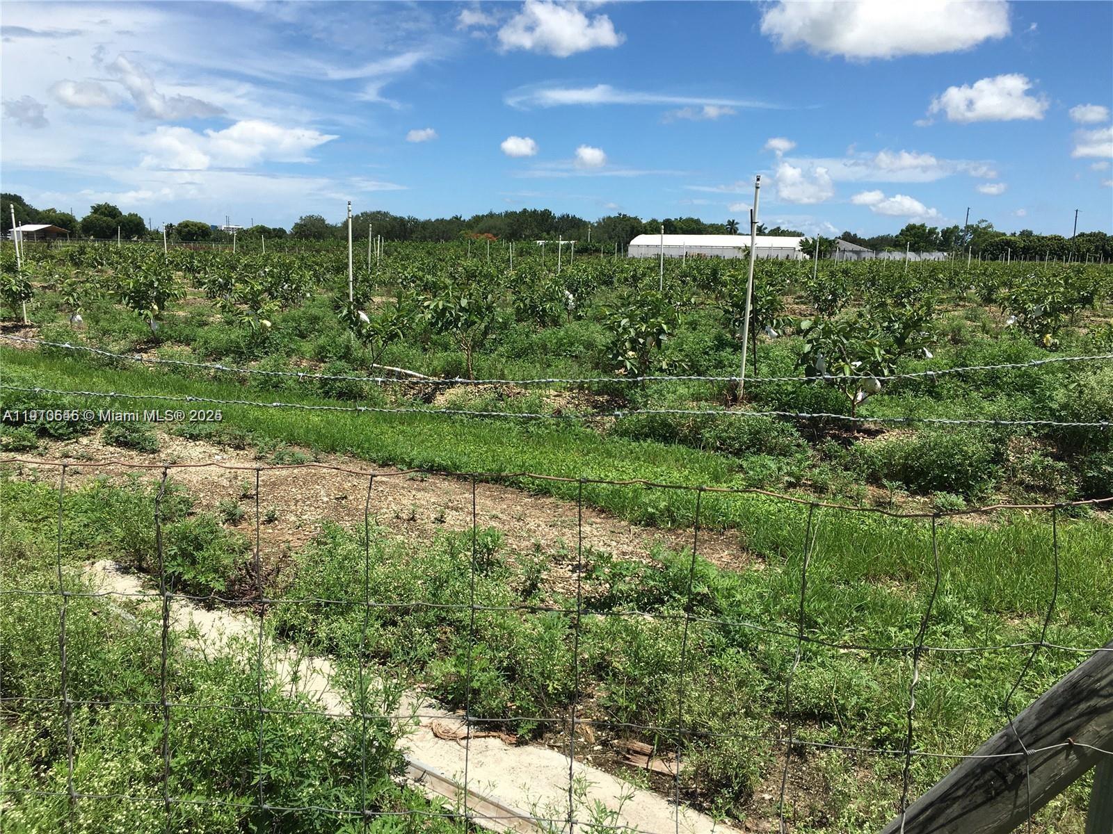 See details / sq. ft. $ 2025-11-08 0 Photo