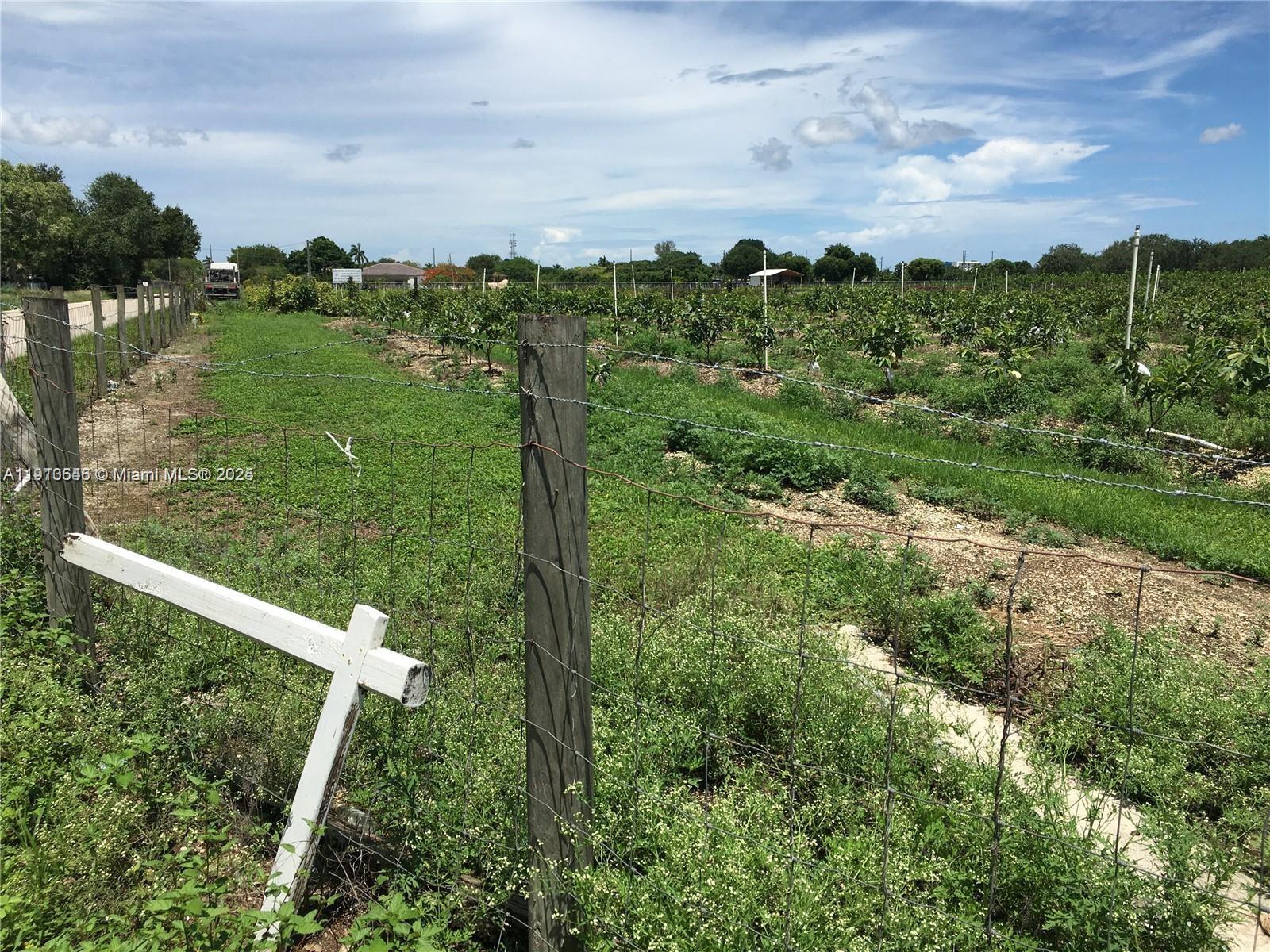 See details / sq. ft. $ 2025-11-08 0 Photo