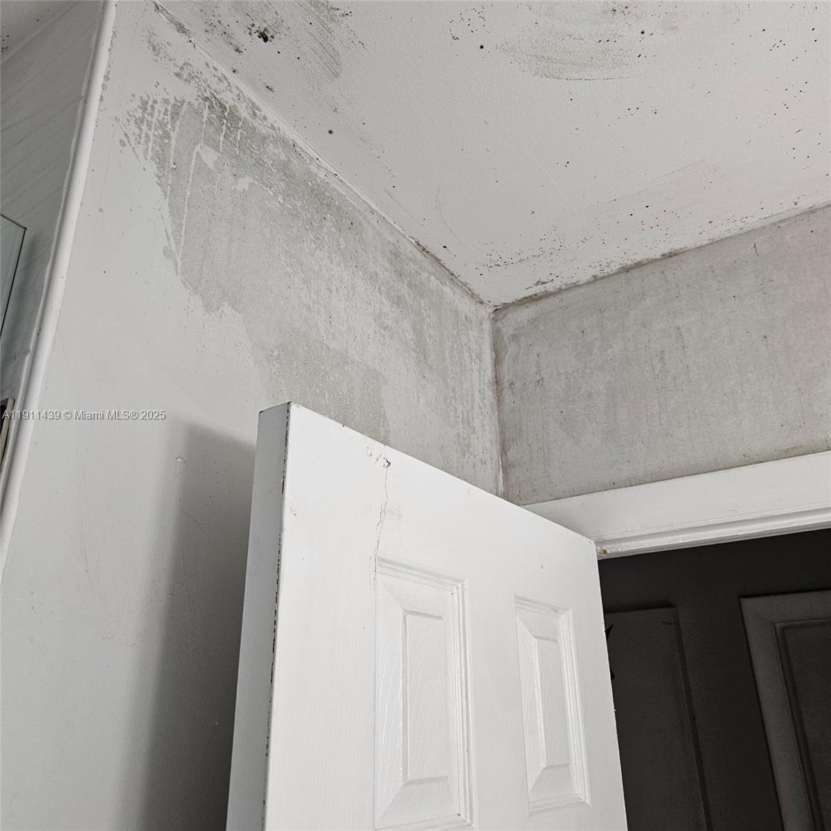 See details 3 / 2 1104 sq. ft. $ 2025-11-10 0 Photo