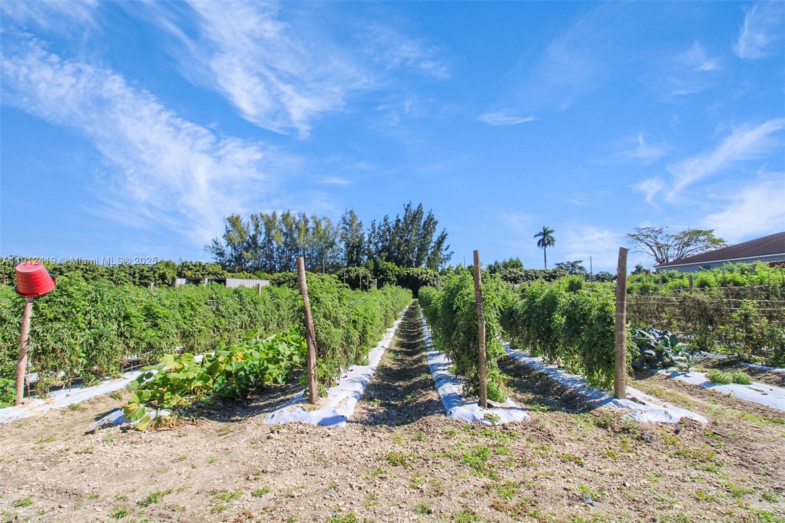   /   sq. ft. $ 2025-11-11 0 foto