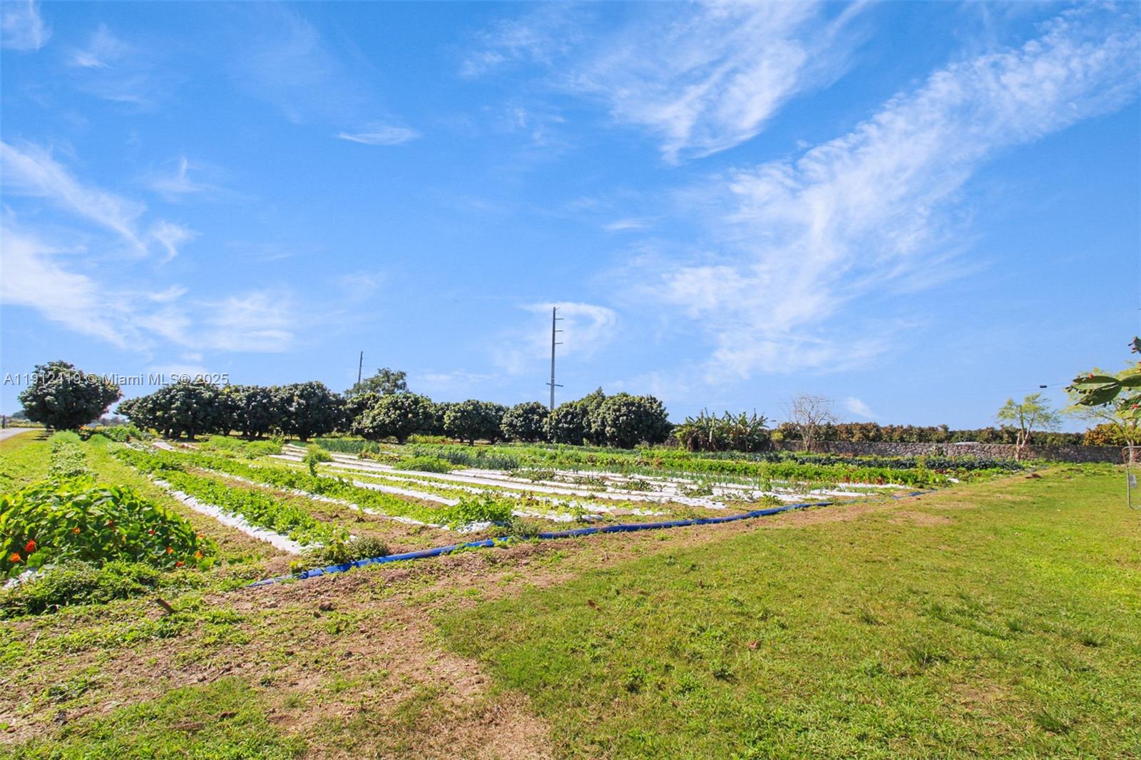   /   sq. ft. $ 2025-11-11 0 foto