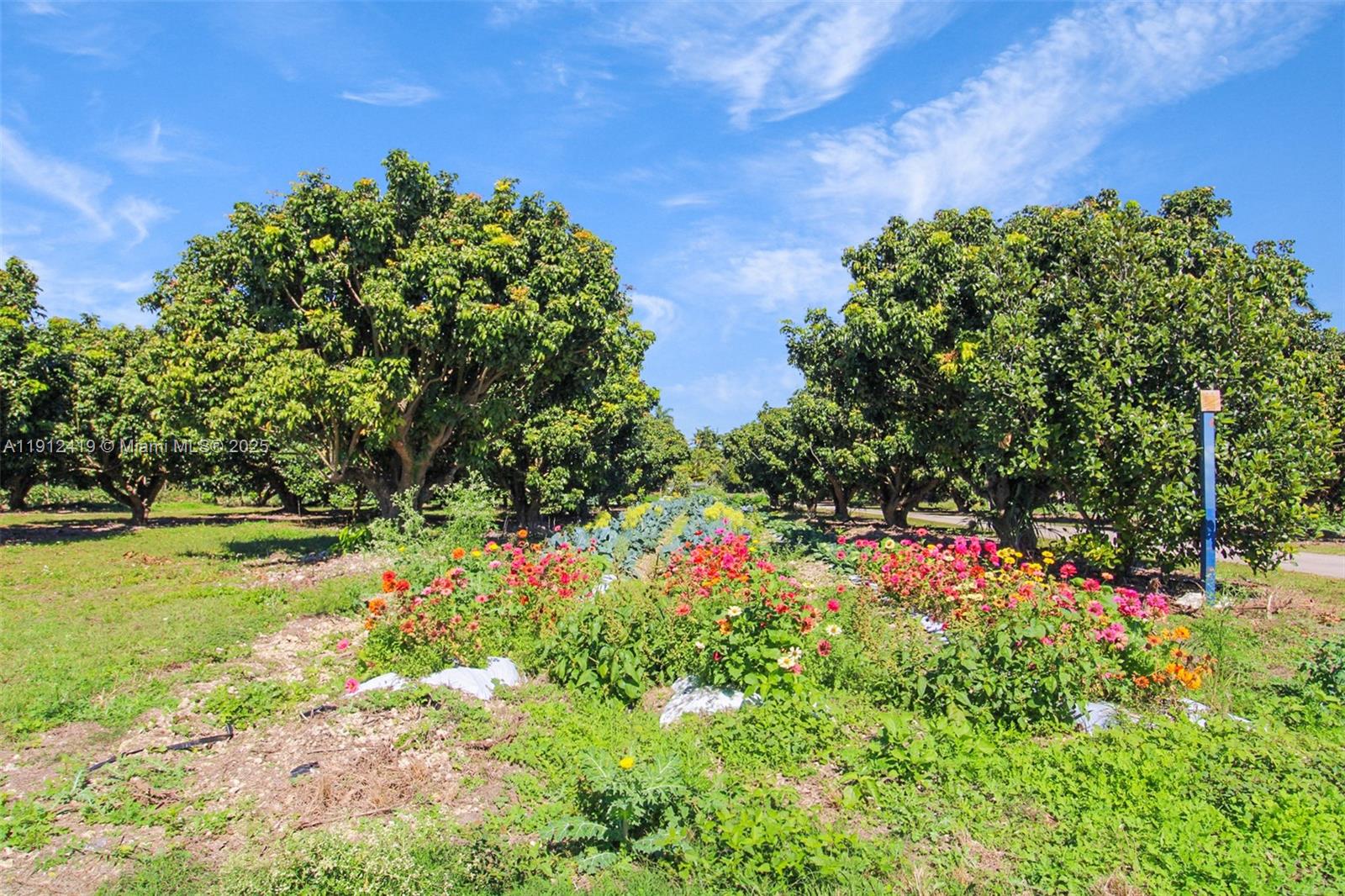   /   sq. ft. $ 2025-11-11 0 foto