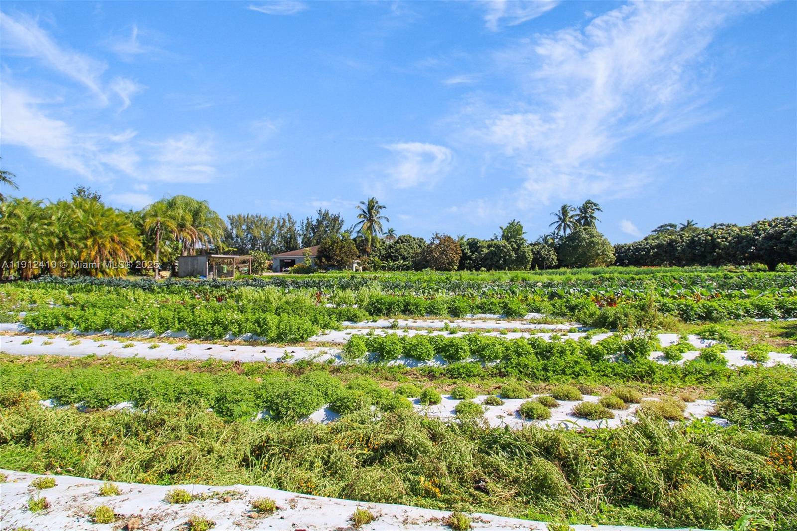   /   sq. ft. $ 2025-11-11 0 foto