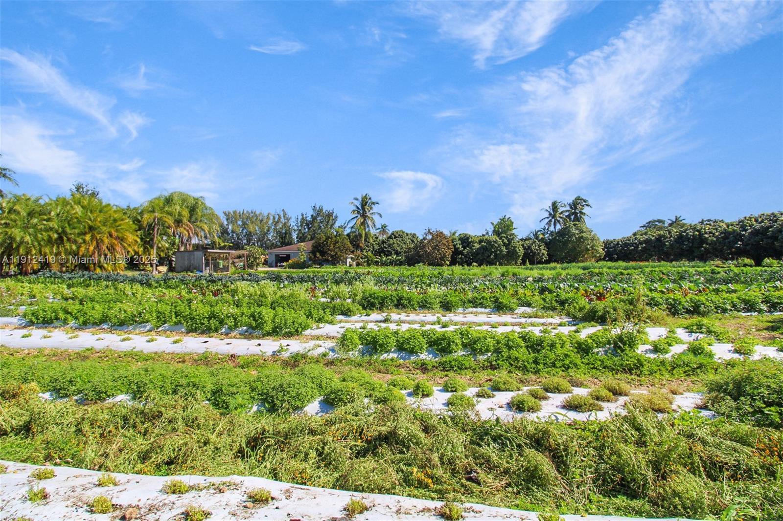   /   sq. ft. $ 2025-11-11 0 foto