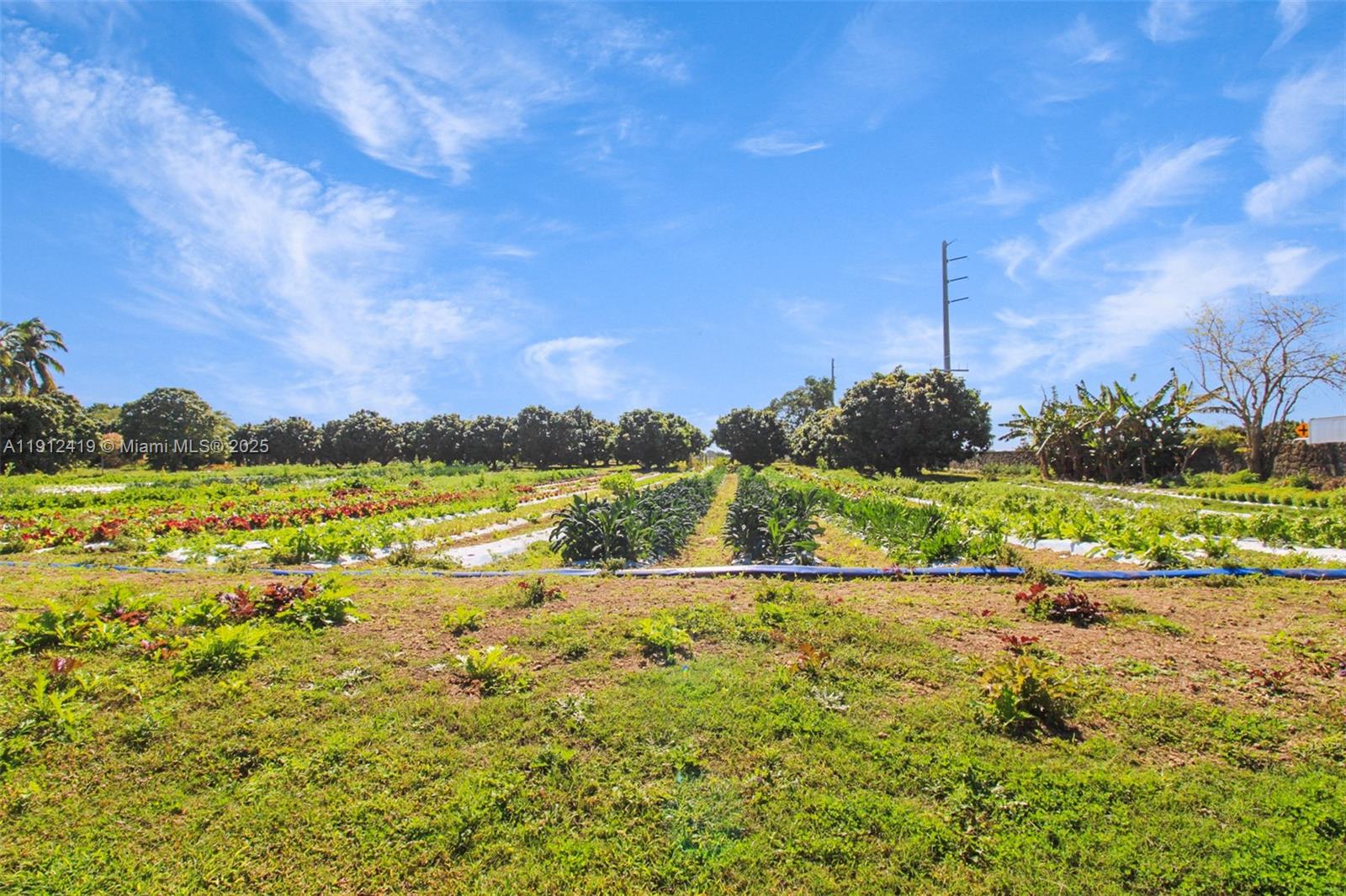   /   sq. ft. $ 2025-11-11 0 foto