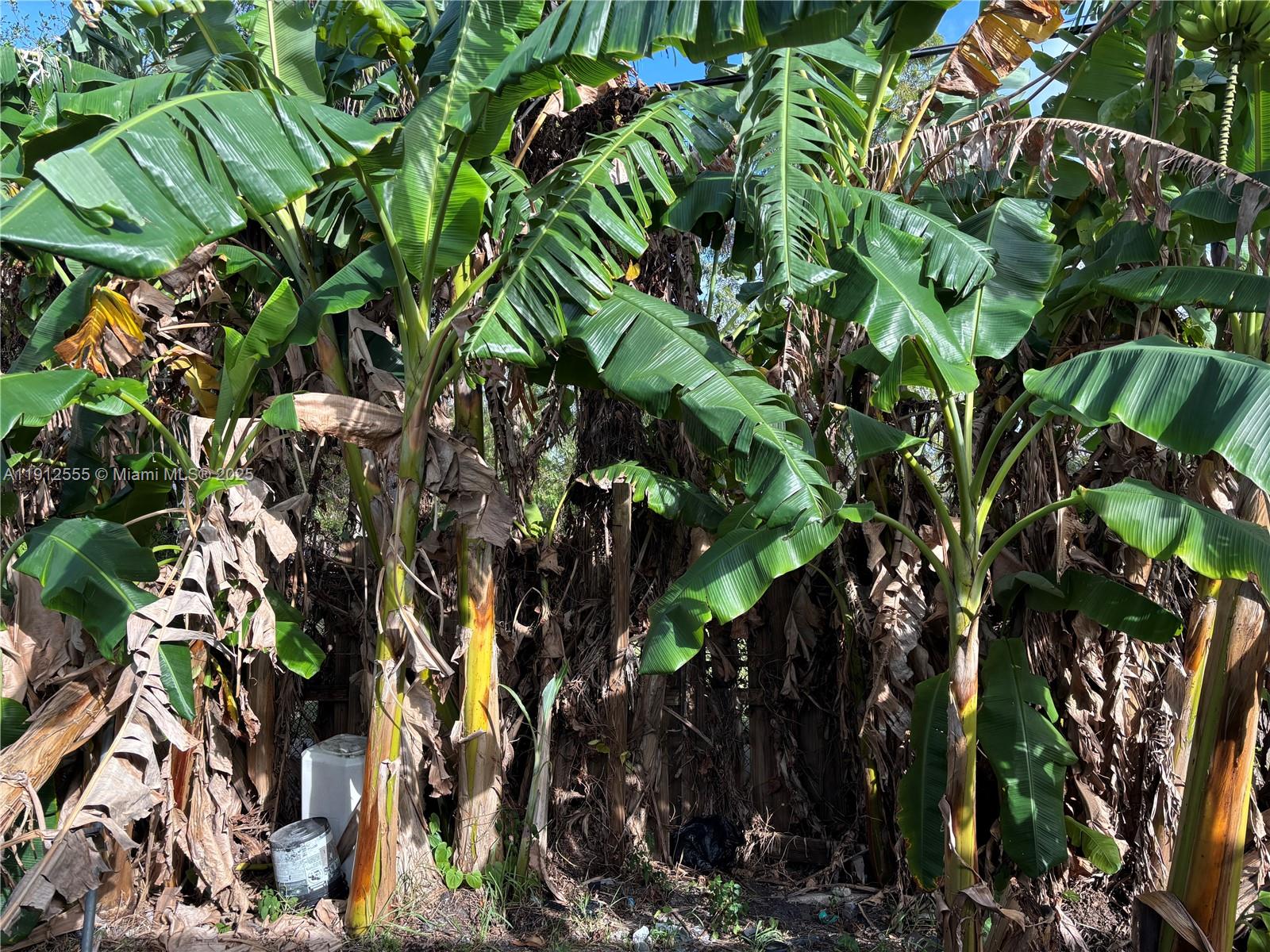 See details / 1699 sq. ft. $ 2025-11-11 0 Photo