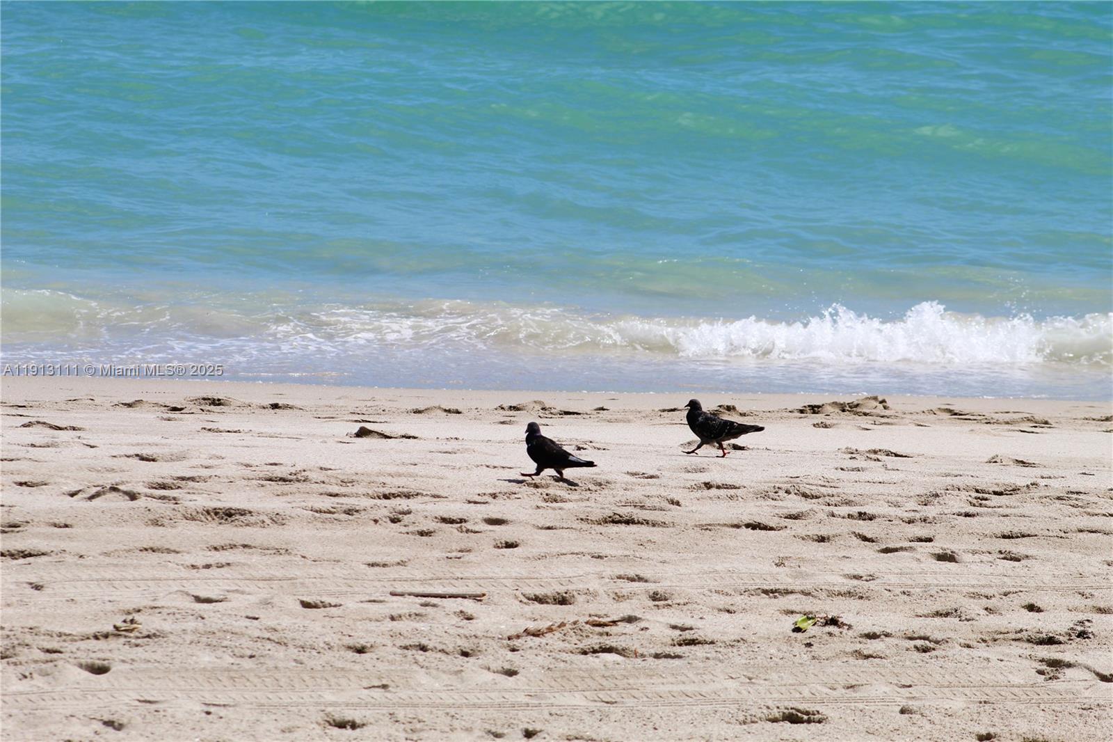 Photo of 2030 Ocean Dr #821, Hallandale Beach, Florida, 33009 -