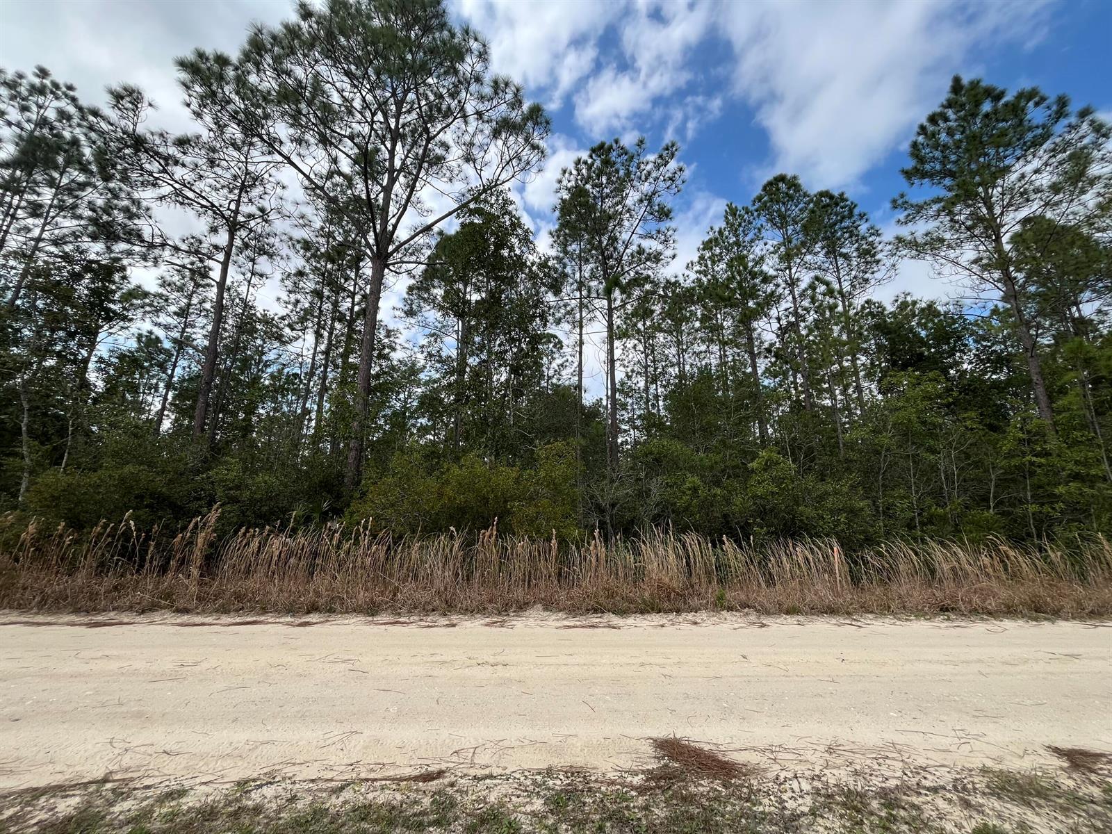   / 0  sq. ft. $ 2026-06-19 0 Photo