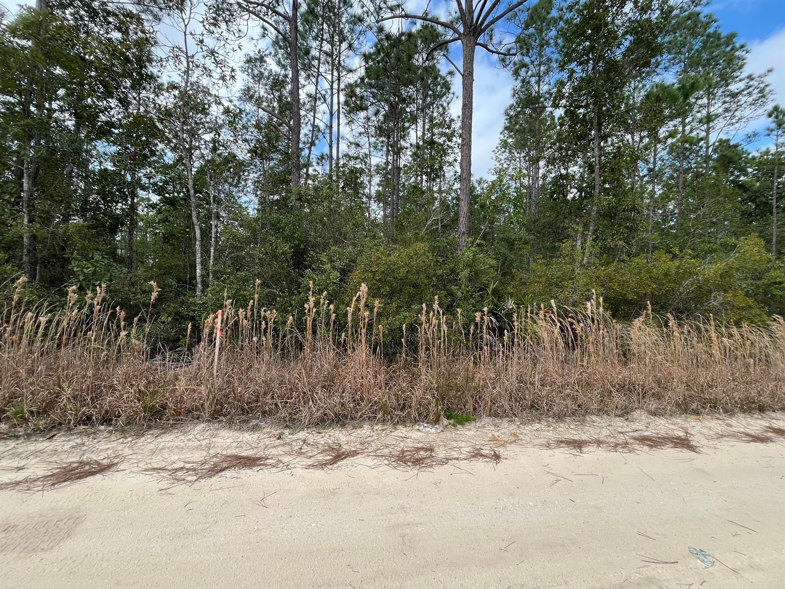   / 0  sq. ft. $ 2026-06-19 0 Photo