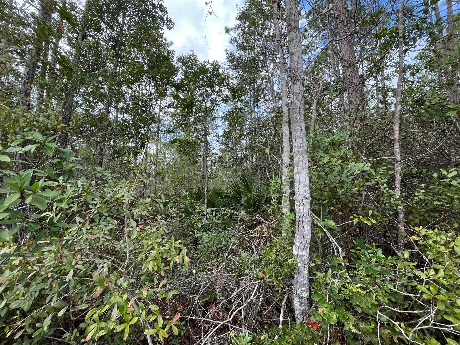   / 0  sq. ft. $ 2026-06-19 0 Photo