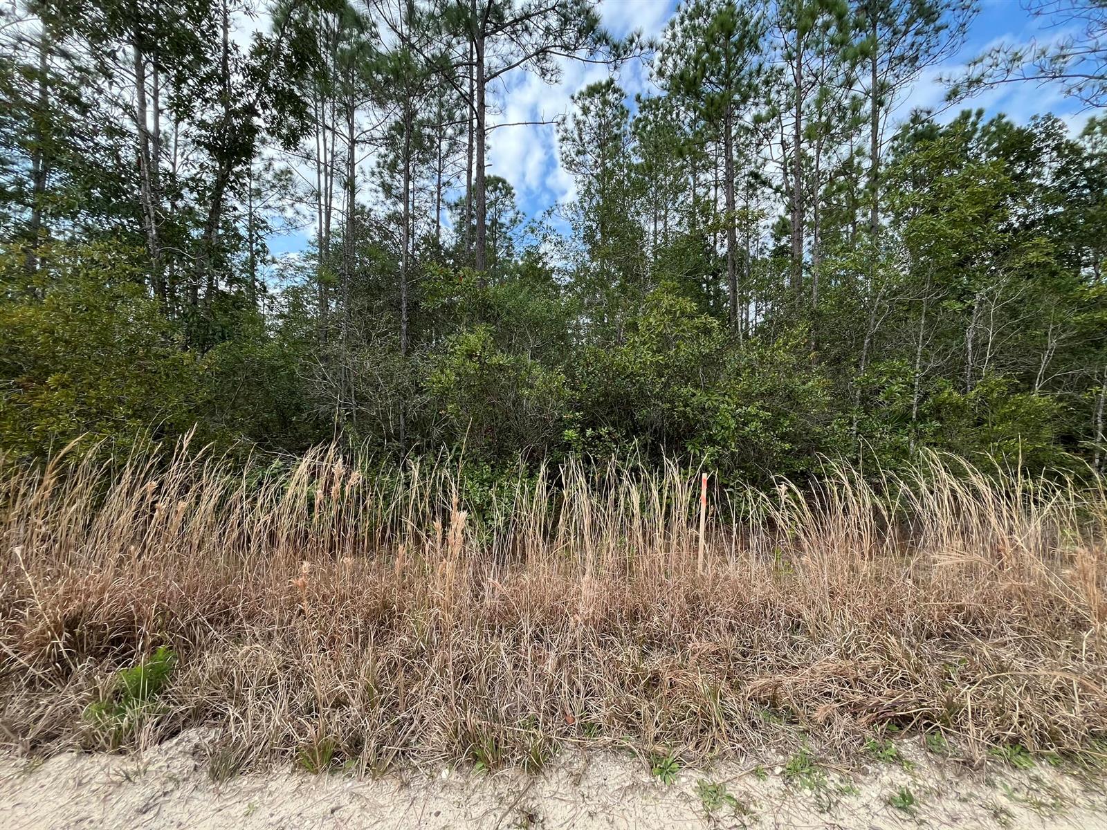   / 0  sq. ft. $ 2026-06-19 0 Photo