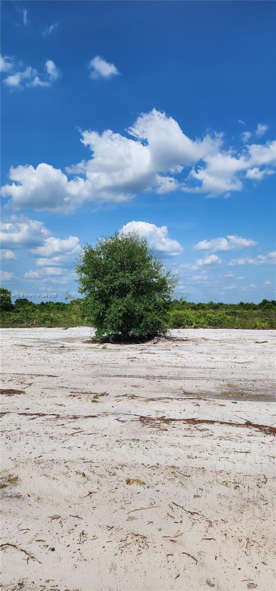 See details / sq. ft. $ 2025-11-14 0 Photo