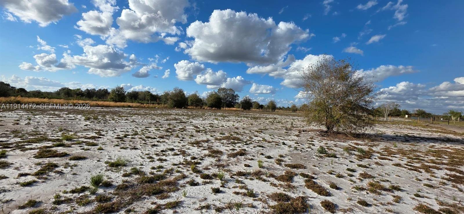 Ver detalles / sq. ft. $ 2025-12-15 0 foto