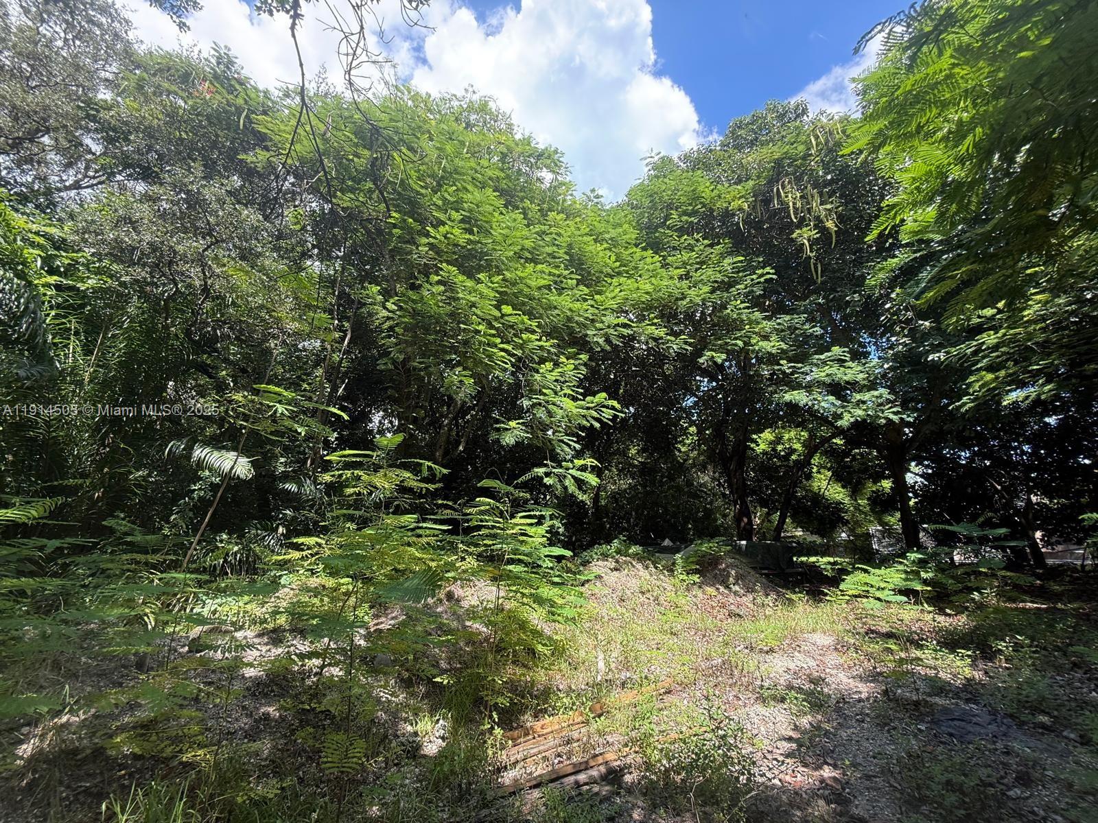 See details / sq. ft. $ 2025-11-14 0 Photo