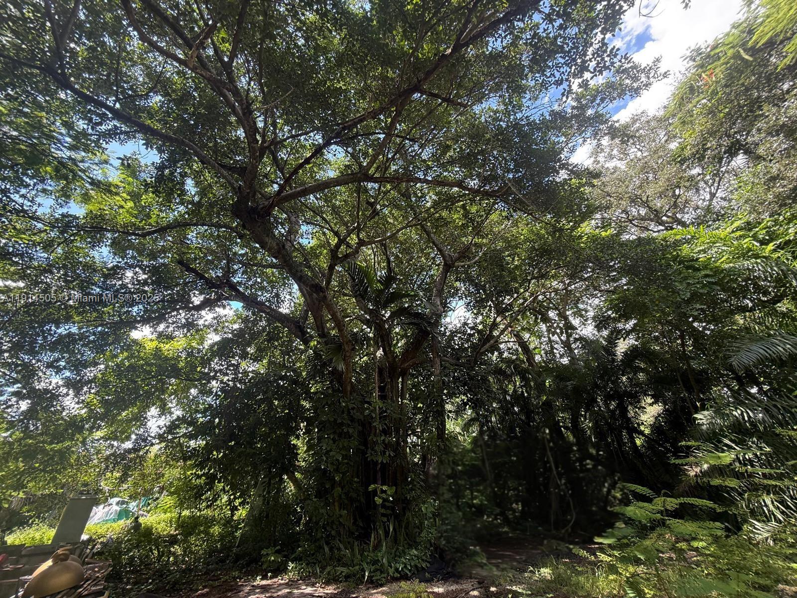 See details / sq. ft. $ 2025-11-14 0 Photo