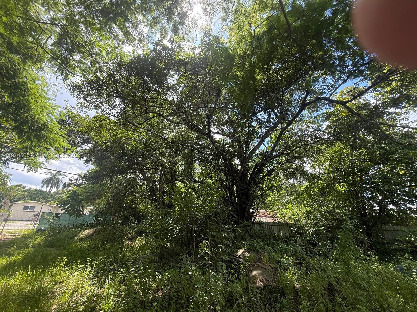 See details / sq. ft. $ 2025-11-14 0 Photo