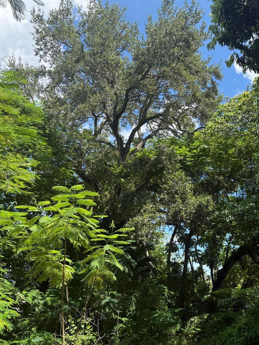 See details / sq. ft. $ 2025-11-14 0 Photo