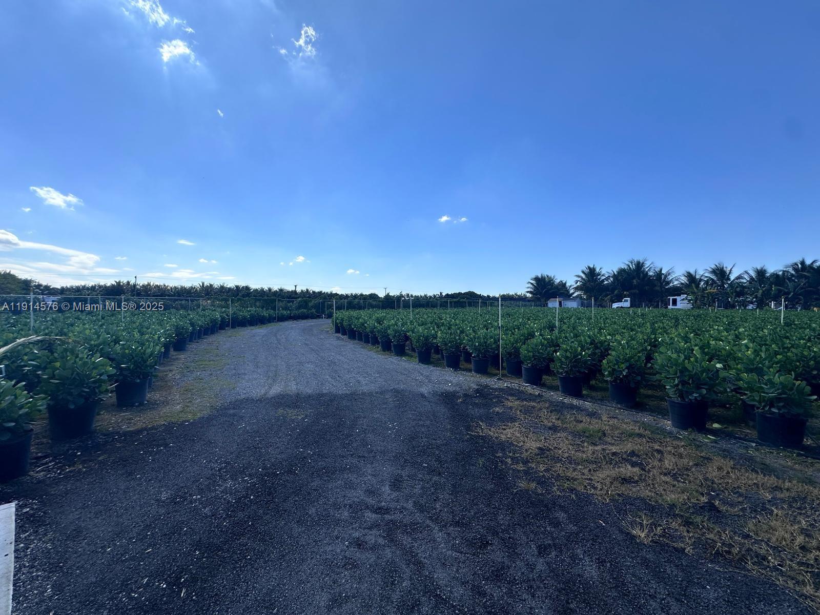 See details / sq. ft. $ 2025-11-14 0 Photo