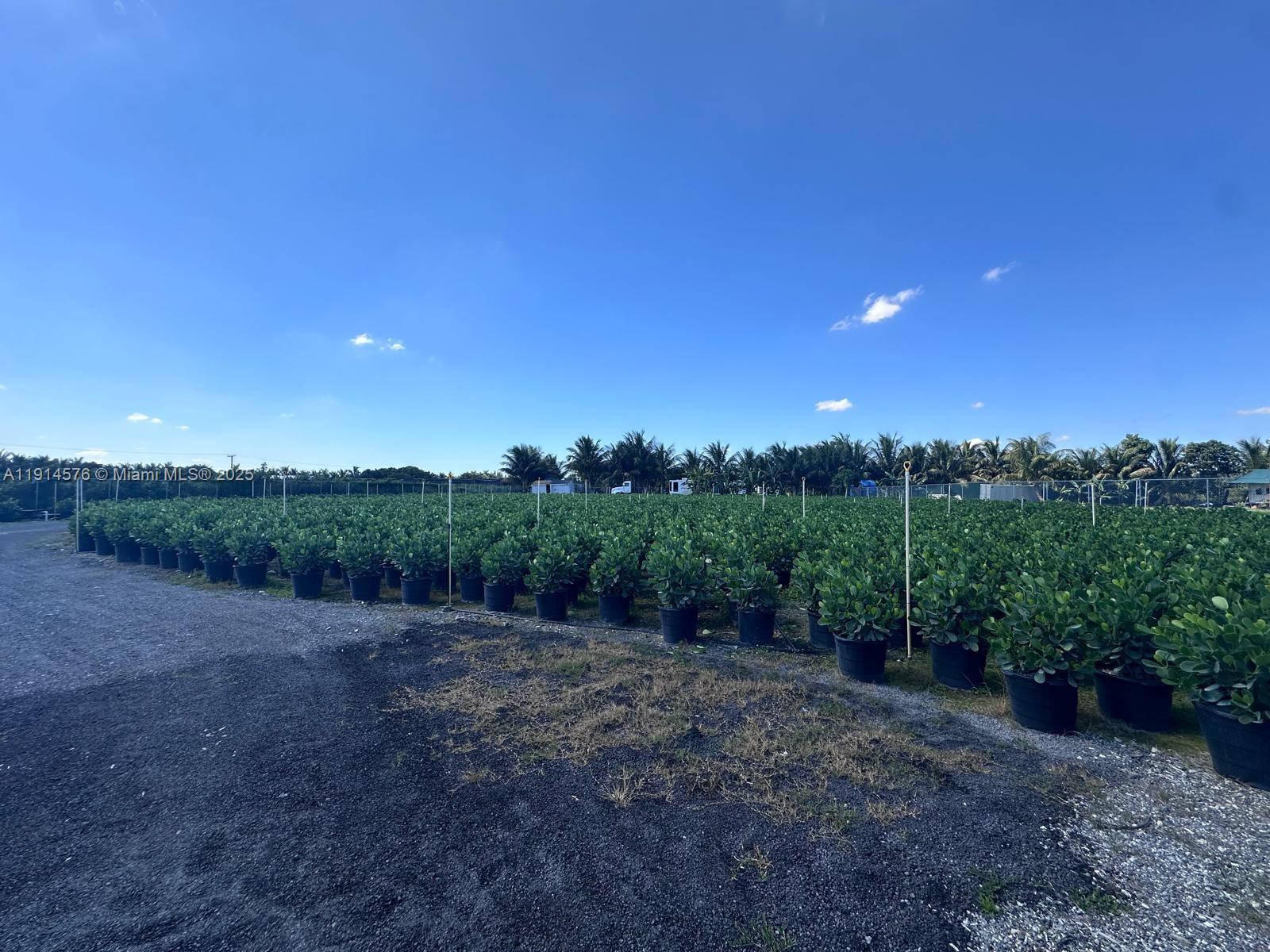 See details / sq. ft. $ 2025-11-14 0 Photo