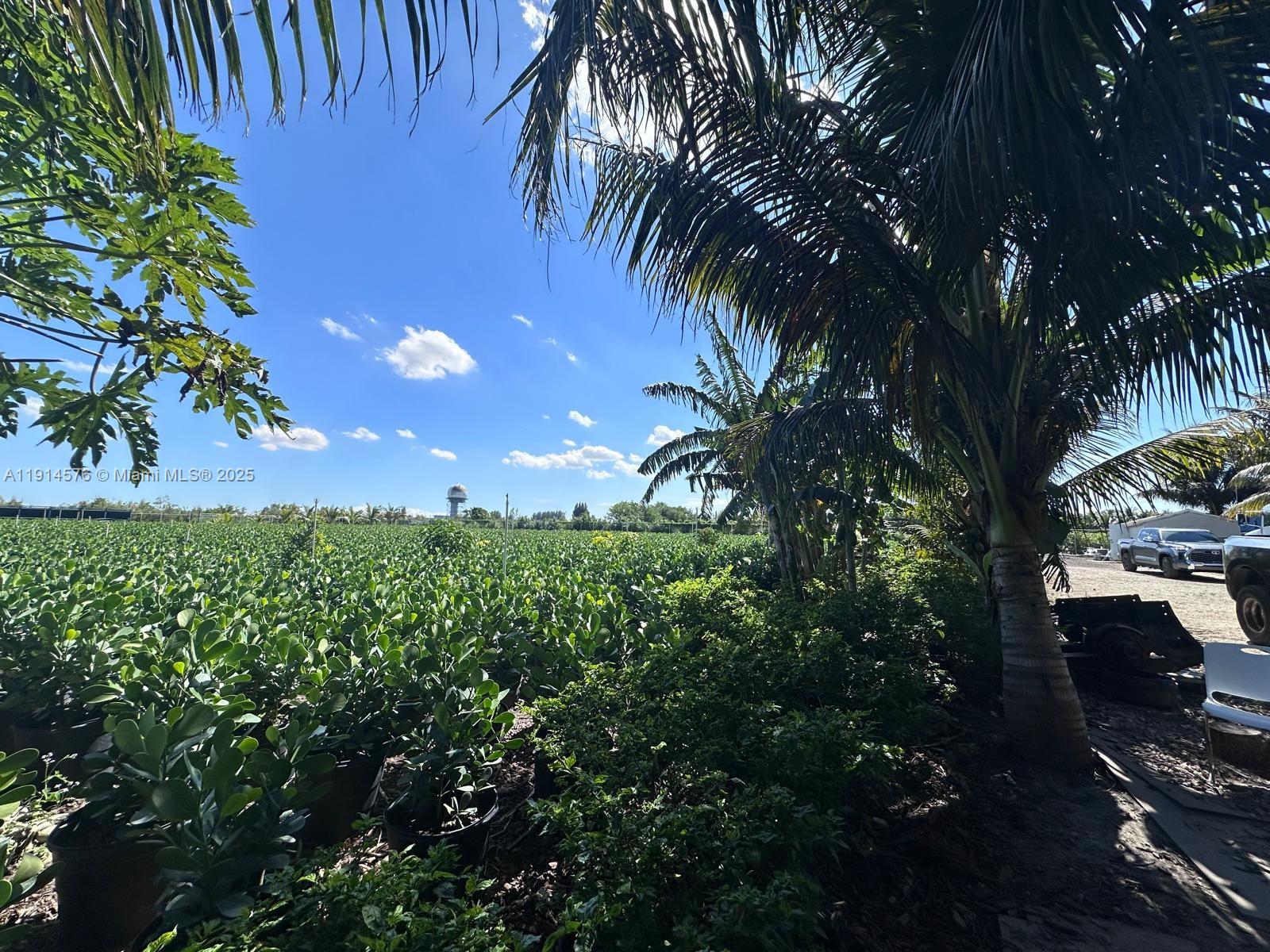 See details / sq. ft. $ 2025-11-14 0 Photo