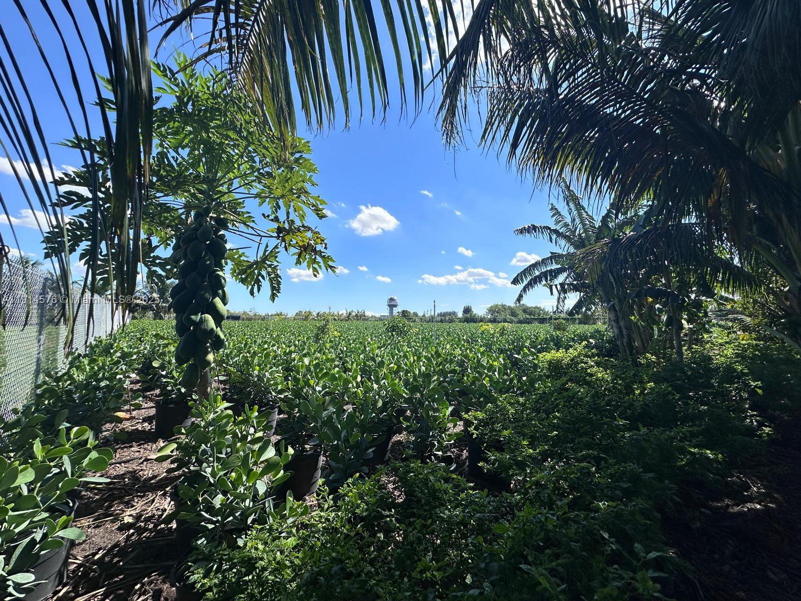 See details / sq. ft. $ 2025-11-14 0 Photo