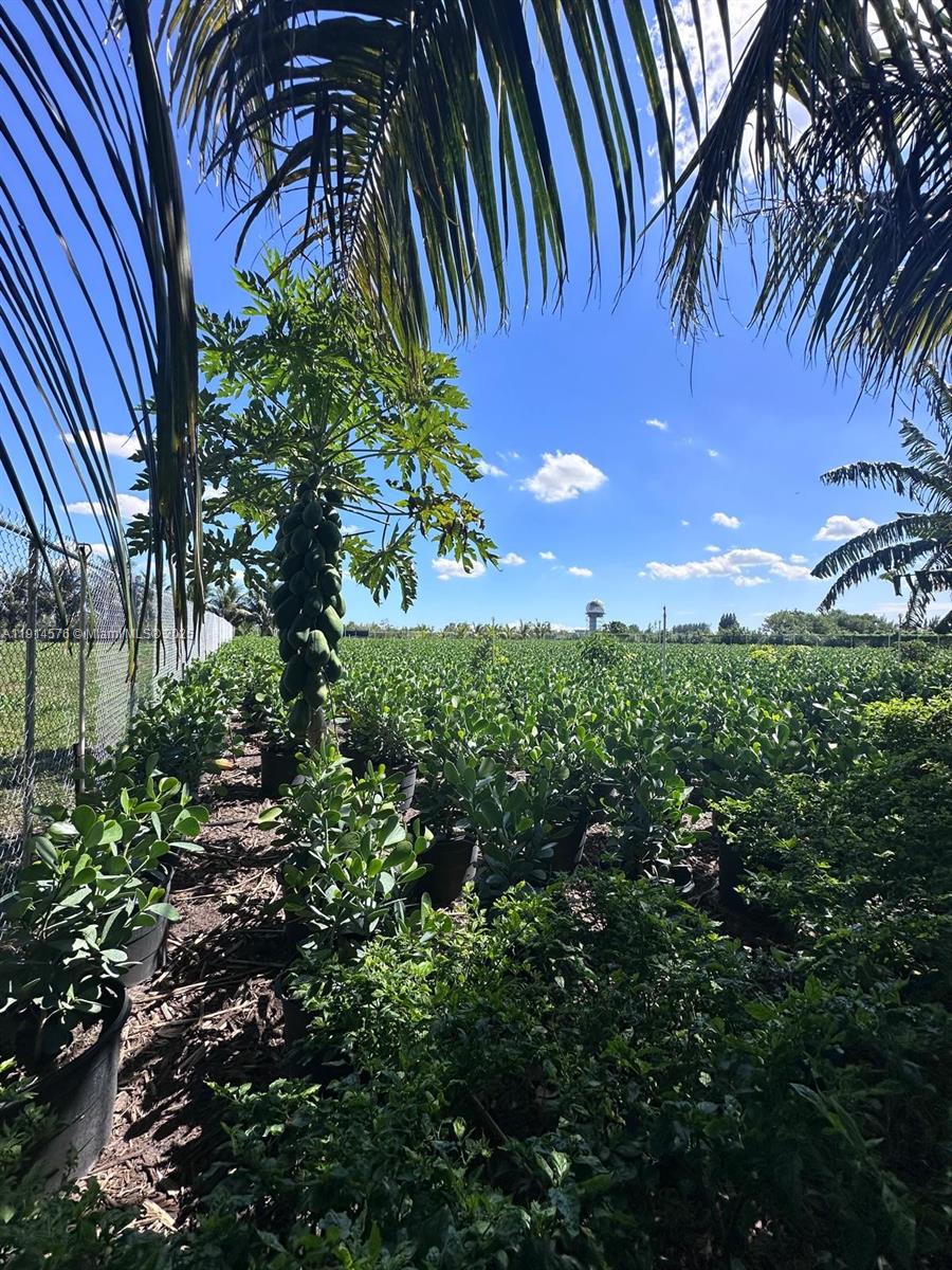 See details / sq. ft. $ 2025-11-14 0 Photo