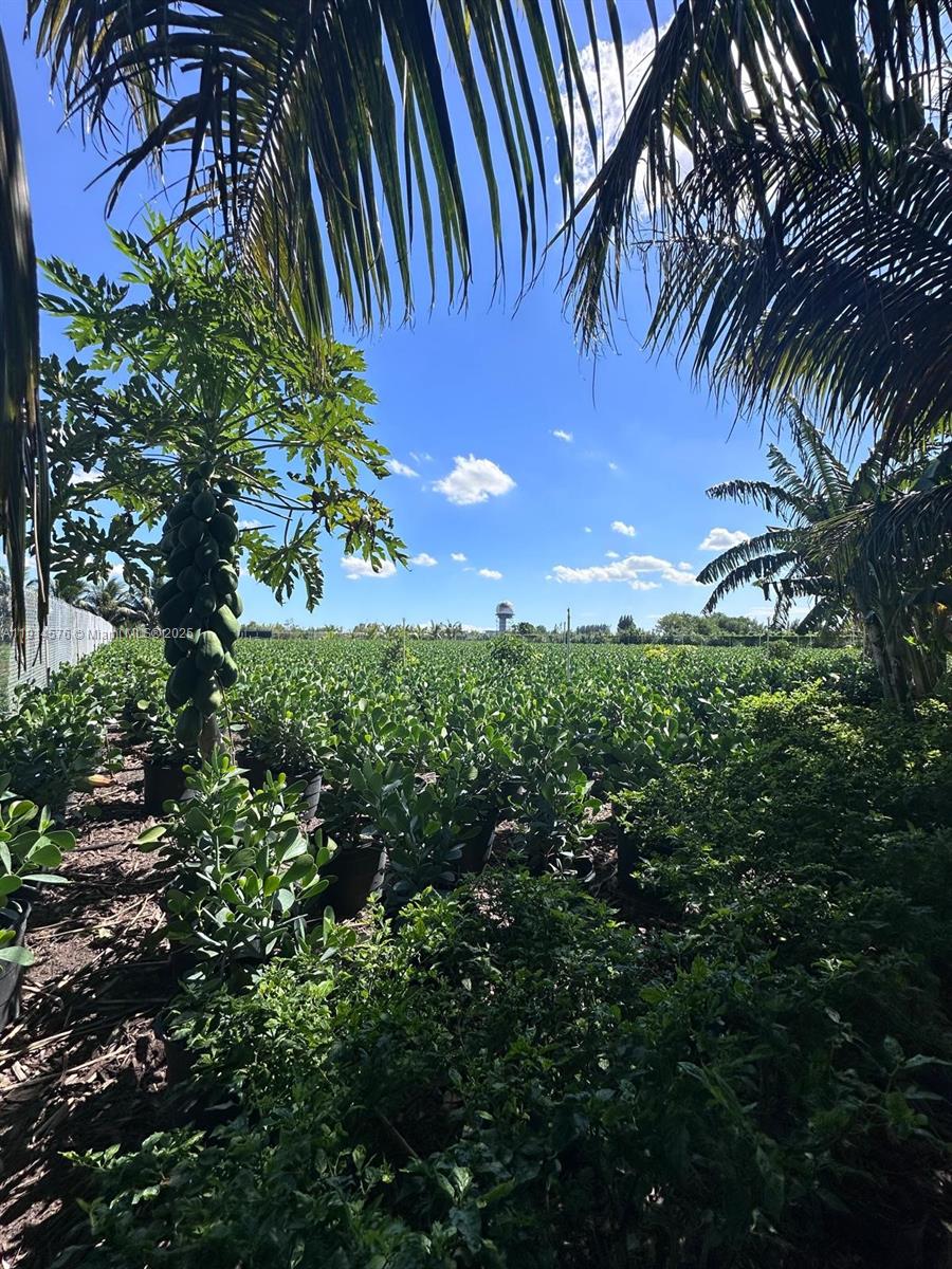 See details / sq. ft. $ 2025-11-14 0 Photo