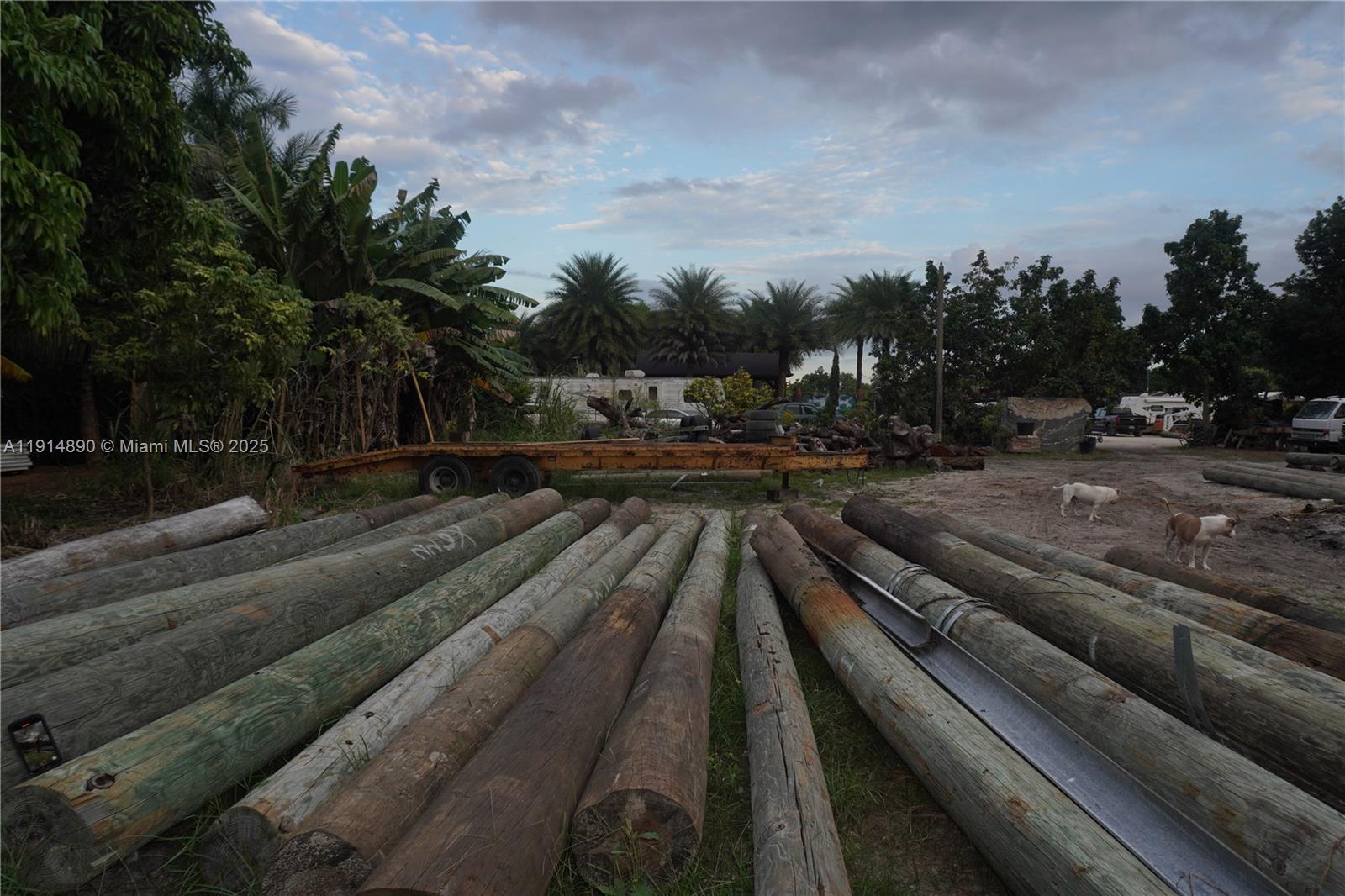 See details / sq. ft. $ 2025-11-16 0 Photo