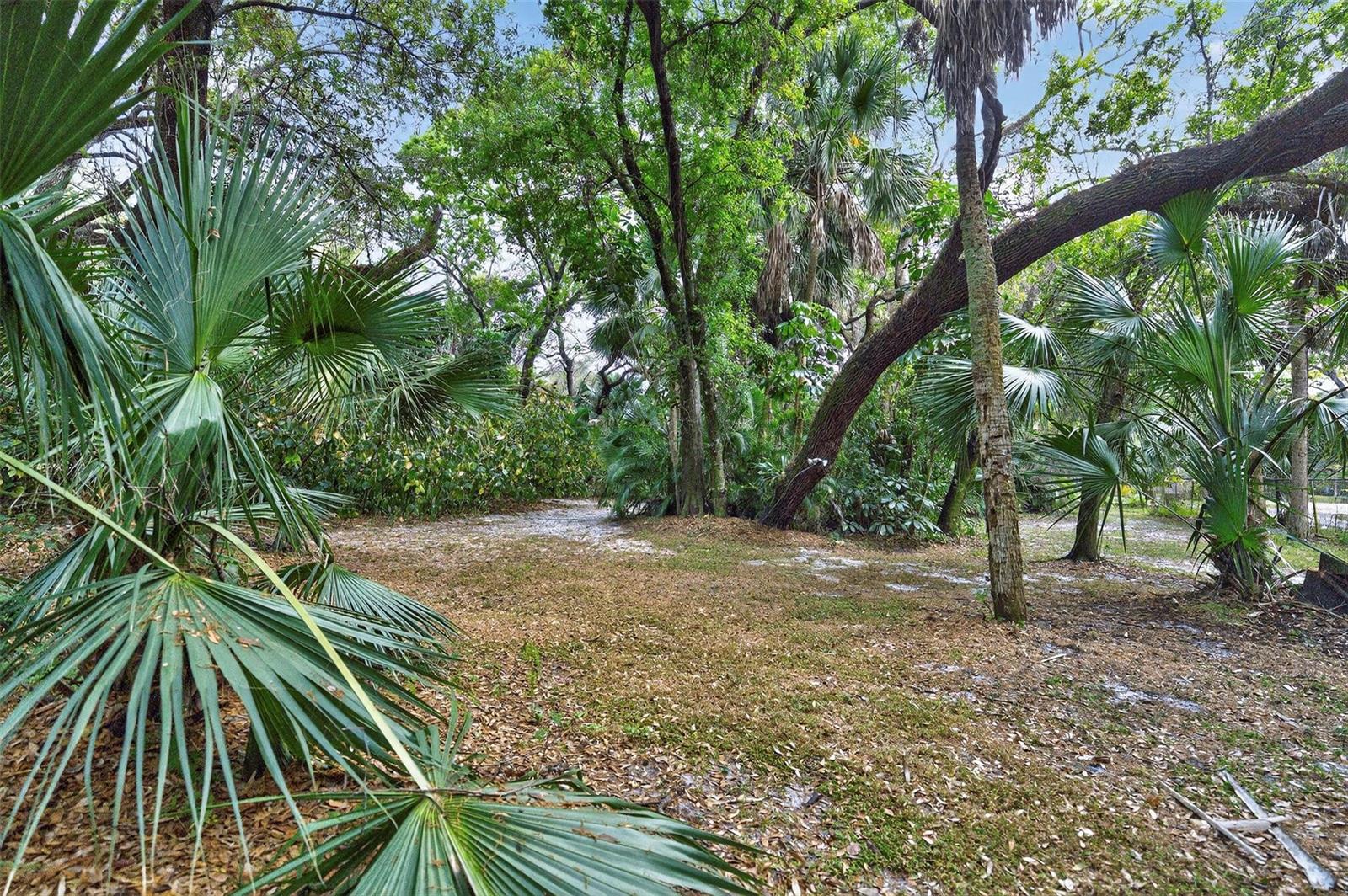   / 0  кв.футов $ 2026-06-15 0 Фото