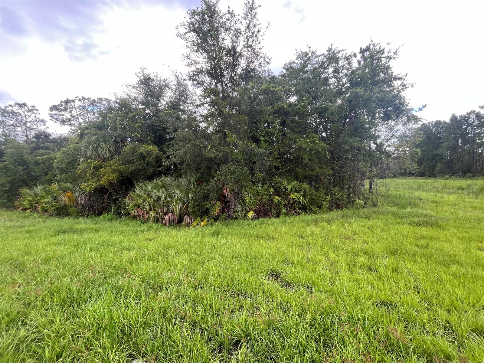   / 0  sq. ft. $ 2026-06-19 0 foto