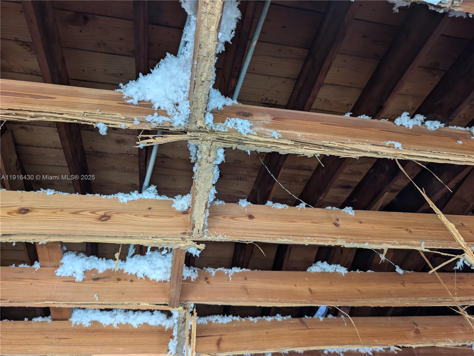 See details / 1866 sq. ft. $ 2025-11-18 0 Photo