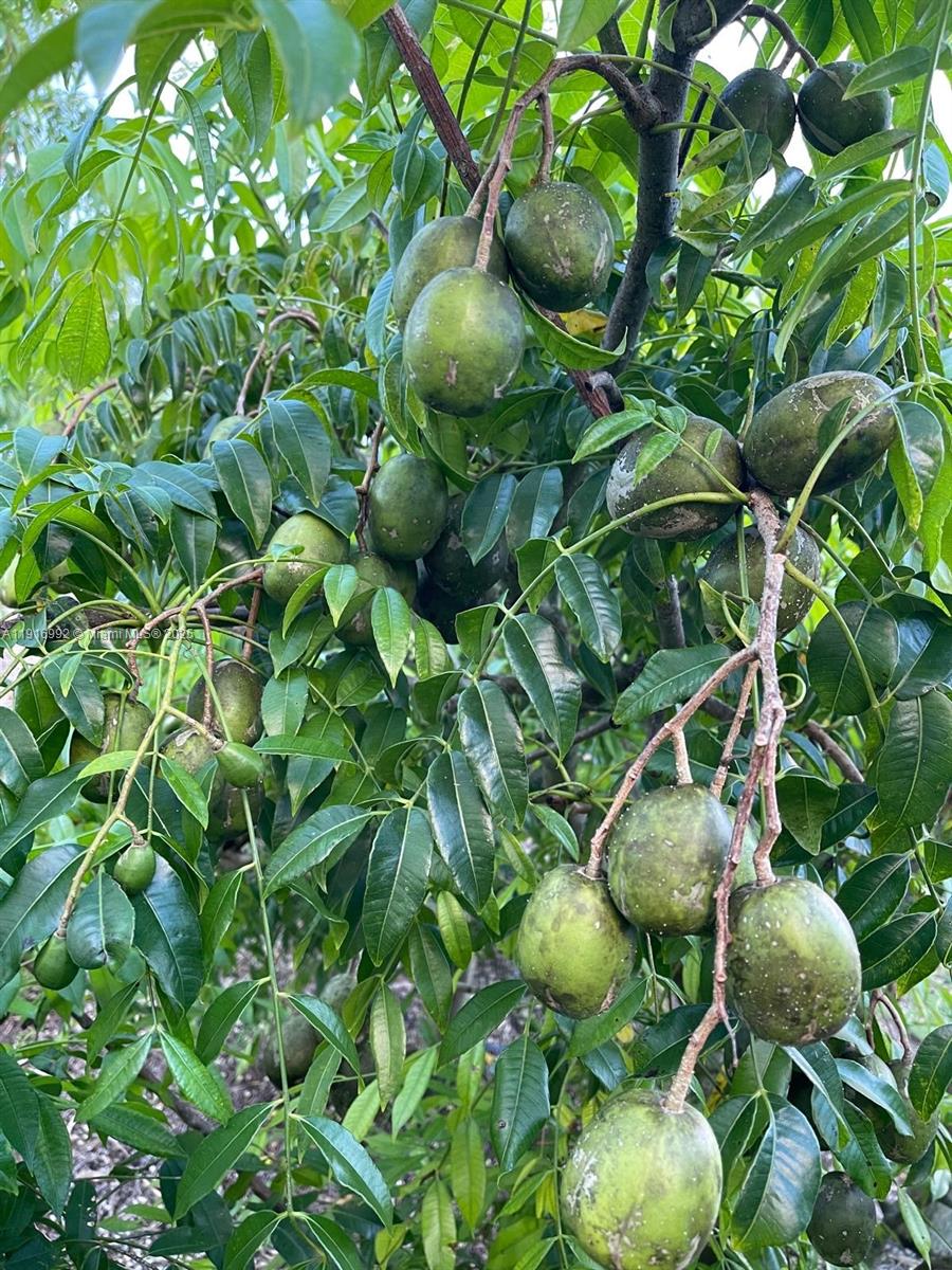   /   sq. ft. $ 2025-11-19 0 foto