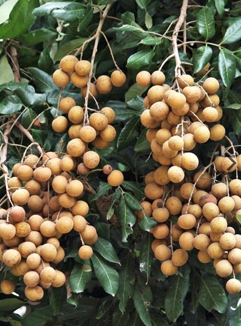   /   sq. ft. $ 2025-11-19 0 foto