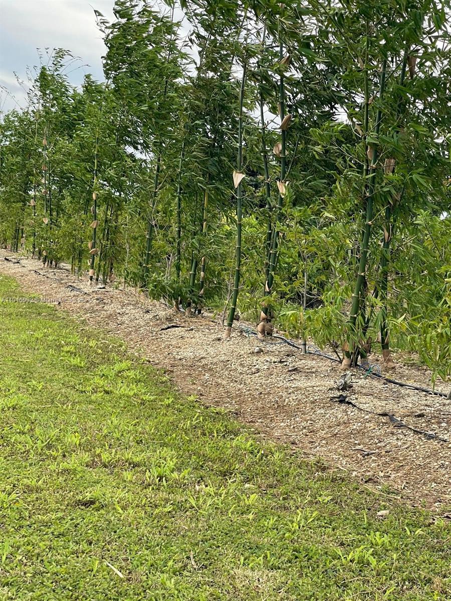   /   sq. ft. $ 2025-11-19 0 foto