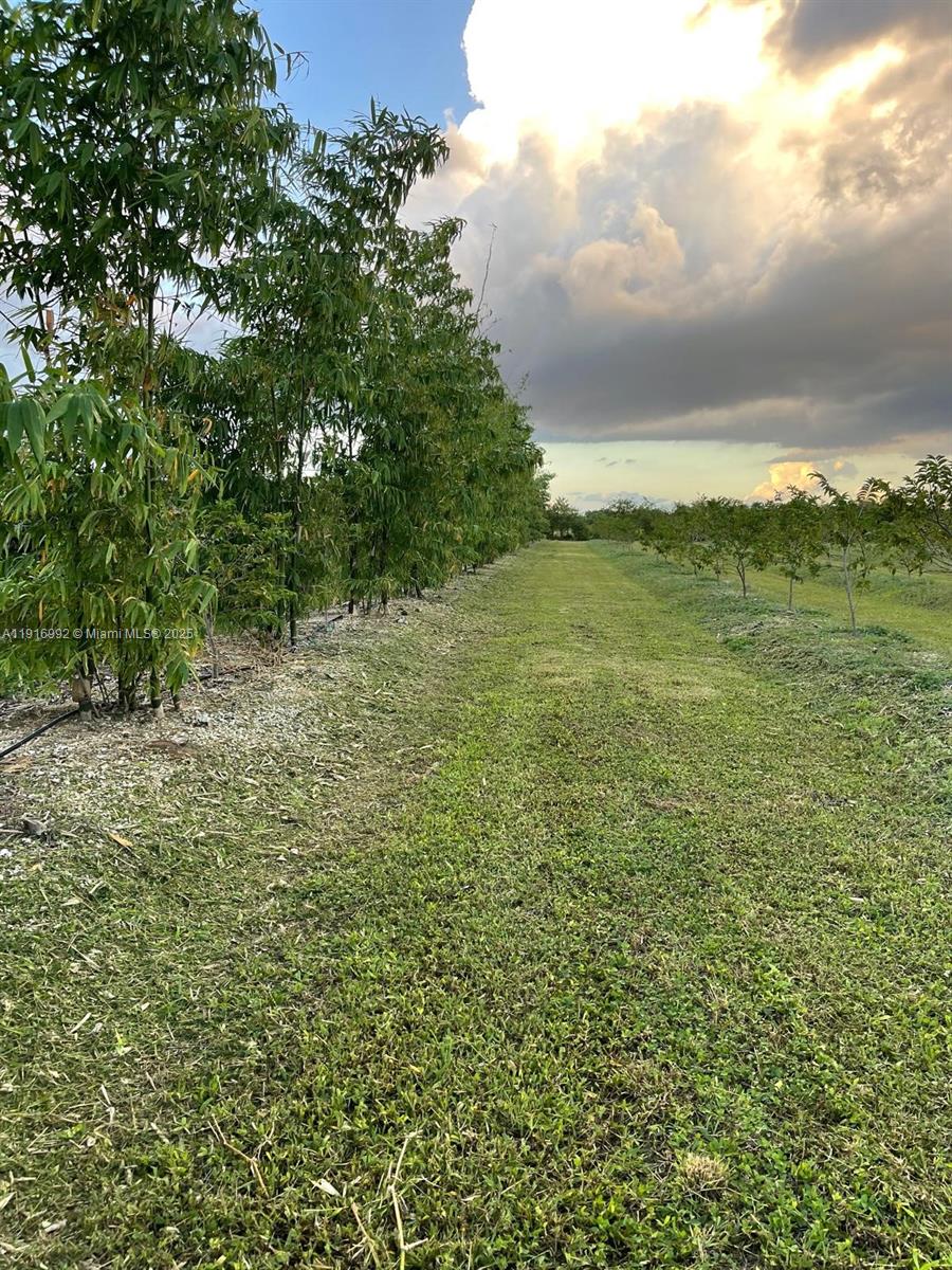   /   sq. ft. $ 2025-11-19 0 foto