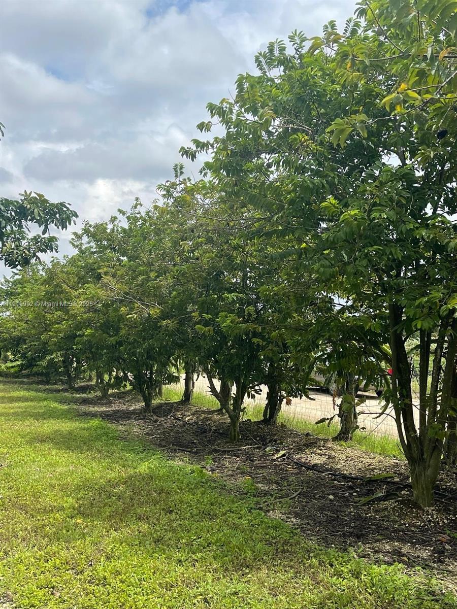   /   sq. ft. $ 2025-11-19 0 foto