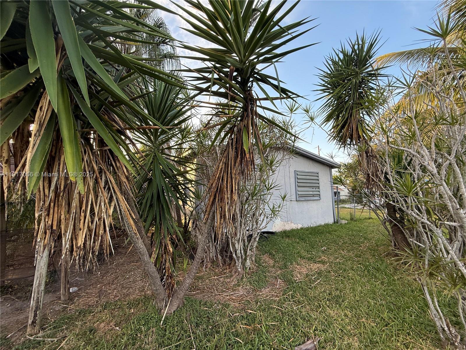 Подробнее 13401 3 / 2 1173 кв.футов $ 2025-11-19 0 Фото