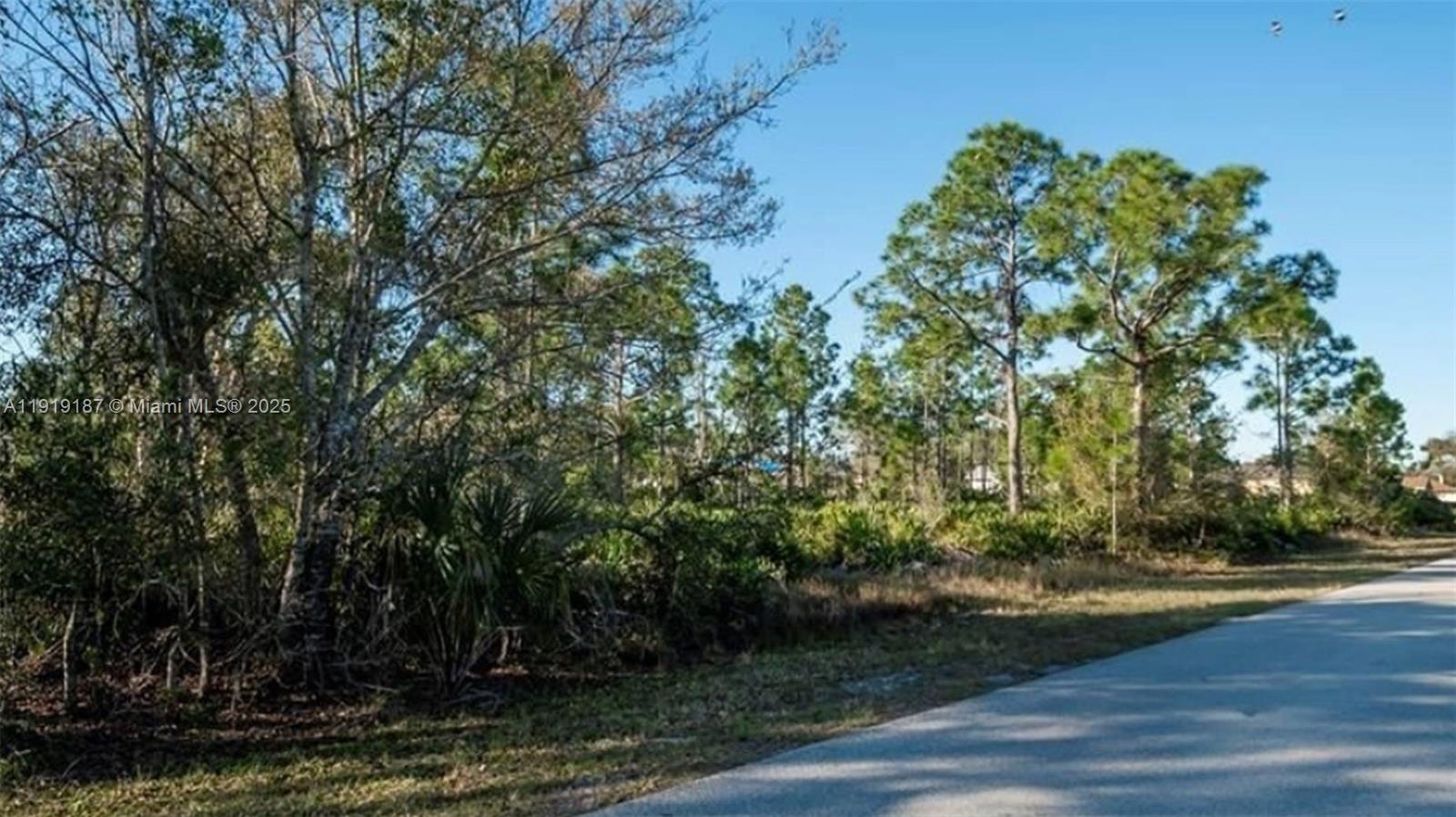   /   sq. ft. $ 2025-11-24 0 Photo