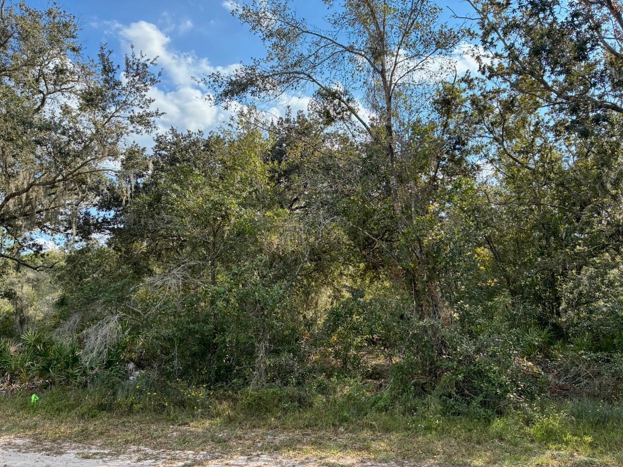  / 0  sq. ft. $ 2026-06-19 0 foto