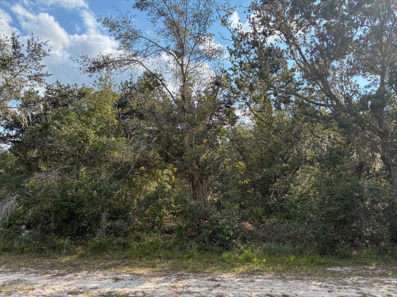   / 0  sq. ft. $ 2026-06-19 0 foto
