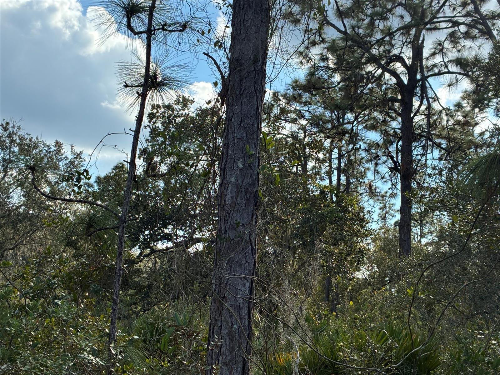   / 0  sq. ft. $ 2026-08-11 0 Photo