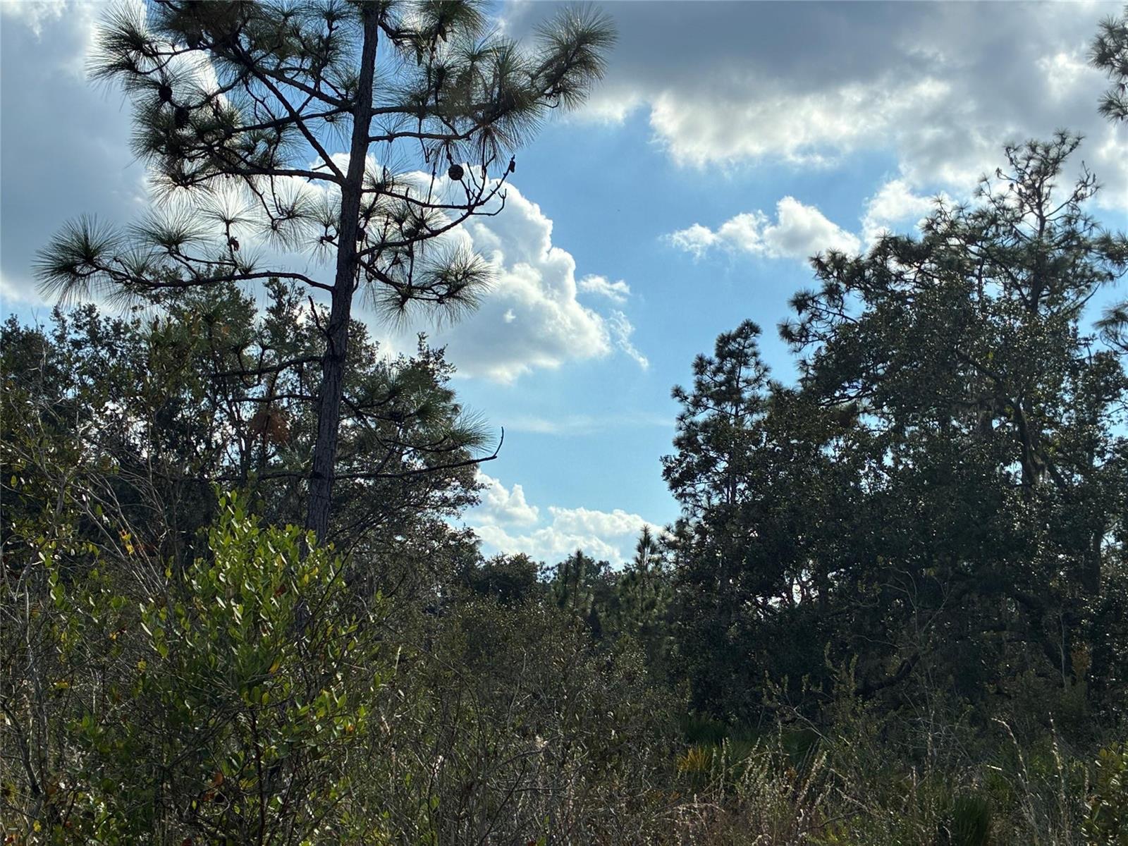   / 0  sq. ft. $ 2026-08-11 0 Photo