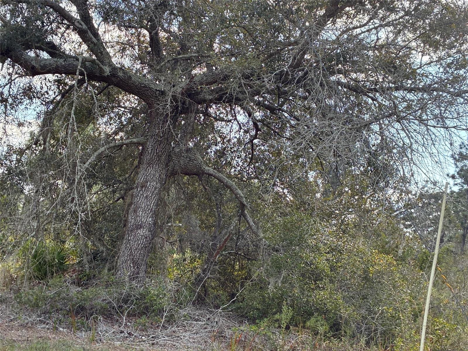   / 0  sq. ft. $ 2026-08-11 0 Photo
