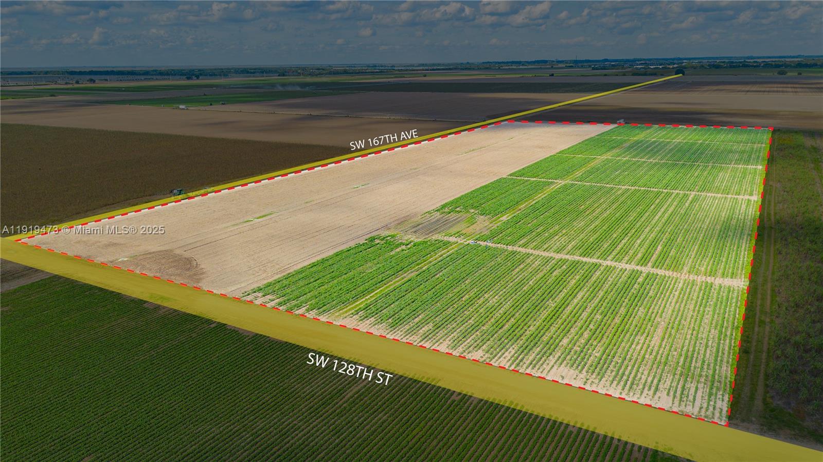   /   sq. ft. $ 2025-11-24 0 Photo