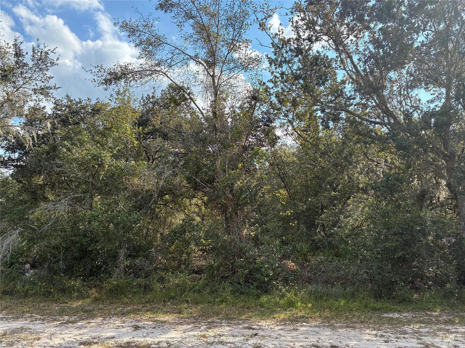   / 0  sq. ft. $ 2026-06-19 0 foto