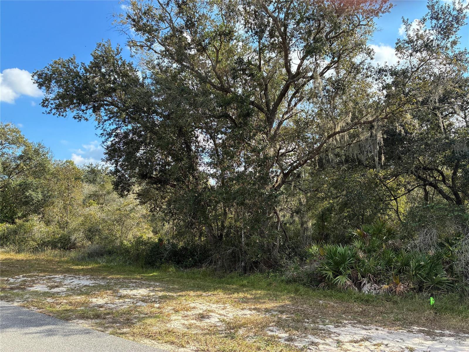   / 0  sq. ft. $ 2026-06-19 0 foto