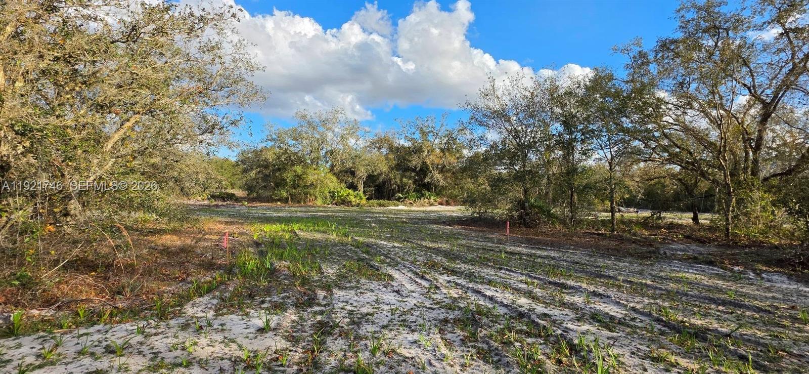 Ver detalles / sq. ft. $ 2026-01-15 0 foto